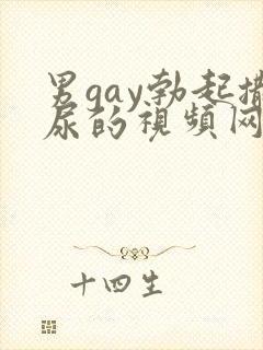 男gay勃起撒尿的视频网站