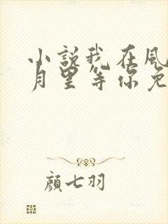 小说我在风花雪月里等你免费阅读