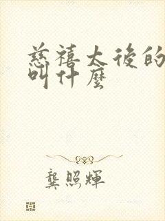 慈禧太后的儿子叫什么