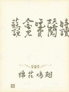 苏念晚陆时衍小说免费阅读最新章节