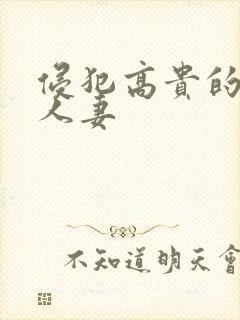 侵犯高贵的美丽人妻