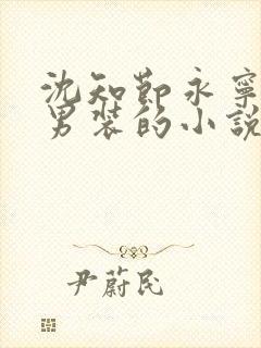 沈知节永宁女扮男装的小说叫什么