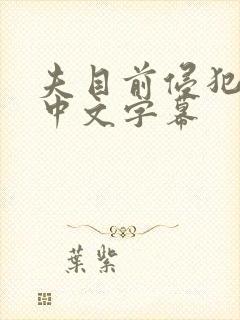 夫目前侵犯人妻中文字幕