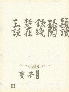 王楚钦孙颖莎小说在线阅读