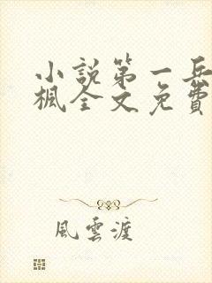 小说第一兵王于枫全文免费阅读