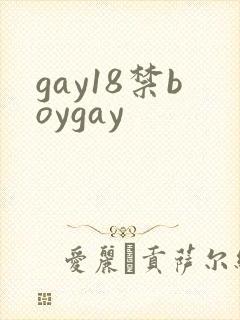 gay18禁boygay