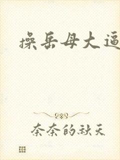 操岳母大逼