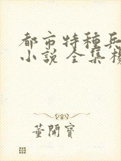 都市特种兵有声小说 全集杨洛