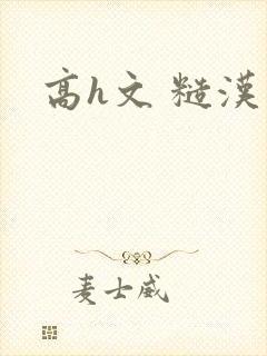 高h文 糙汉