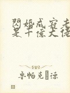 闪婚成宠老公竟是千亿大佬免费阅读txt