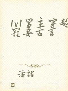 1v1男主穿越宠妻古言