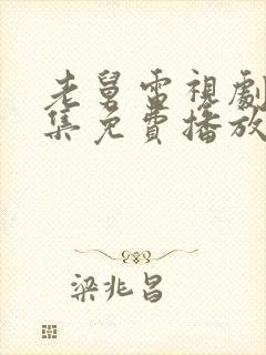 老舅电视剧40集免费播放封面