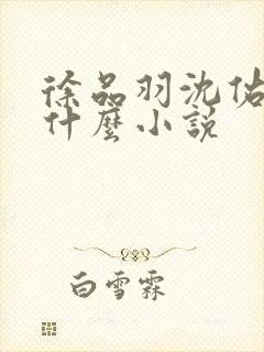 徐品羽沈佑白是什么小说