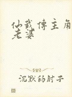 仙武传主角几个老婆