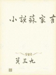 小说苏家有女封面