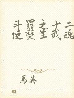 斗罗之十二翼天使双生武魂