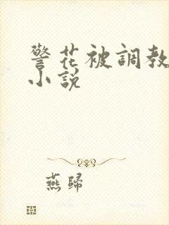 警花被调教堕落小说封面