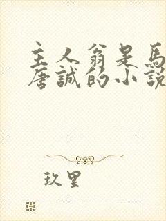 主人翁是马玉婷唐诚的小说