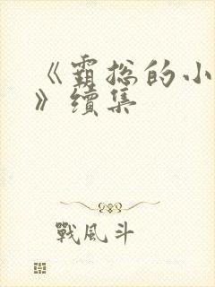 《霸总的小甜妻》续集封面