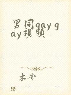 男同gay gay视频