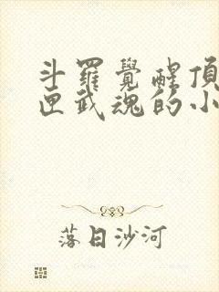 斗罗觉醒顶级剑匣武魂的小说封面