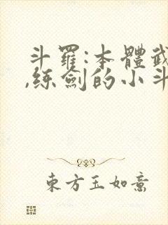 斗罗:本体武魂,练剑的小斗罗:本体