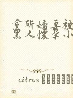 会所娇妻被多个黑人怀孕小说