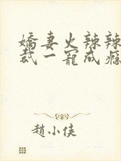 娇妻火辣辣:总裁一宠成瘾小说