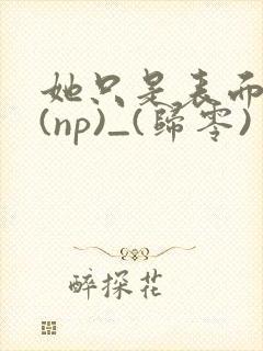 她只是表面清纯(np)_(归零)