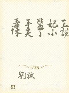 毒手医妃王爷被休夫了小说封面