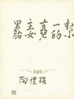 男主有一对双胞胎女儿的小说