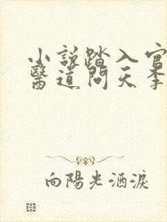 小说踏入官场:医道问天李毅在线阅读