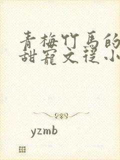 青梅竹马的小说甜宠文从小到大封面