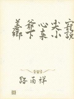 姜爷心尖宠她从乡下来小说看封面