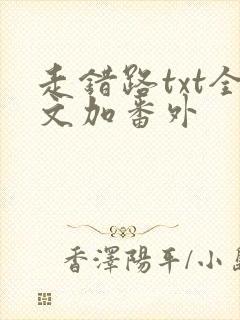 走错路txt全文加番外