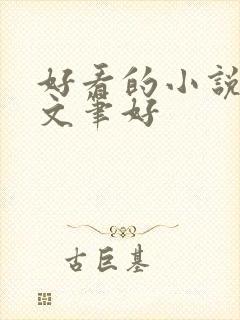 好看的小说言情文笔好