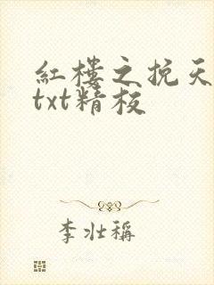 红楼之挽天倾无txt精校