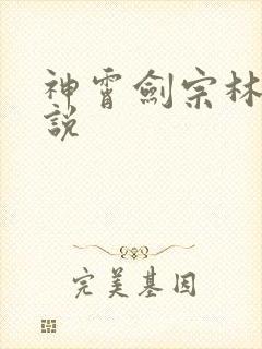 神霄剑宗林枫小说