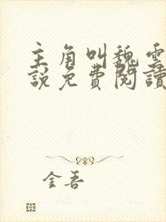 主角叫魏云的小说免费阅读封面