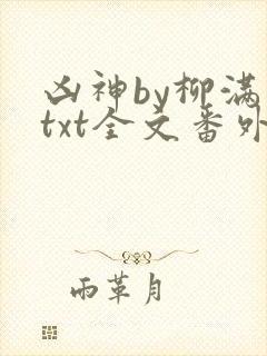 凶神by柳满坡txt全文番外