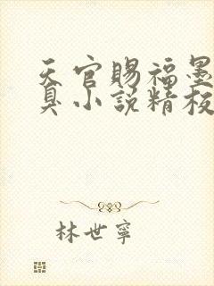 天官赐福墨香铜臭小说精校版