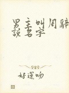 男主叫周辞的小说名字