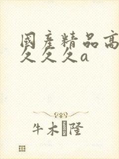 国产精品高潮久久久久a