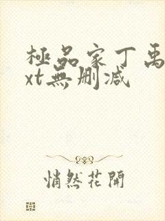 极品家丁禹岩txt无删减