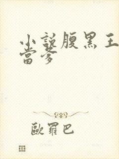 小说腹黑王爷喜当爹