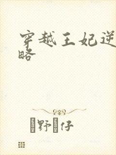 穿越王妃逆袭攻略