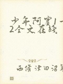 少年阿宾1一72全文在线