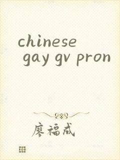 chinese gay gv pron封面
