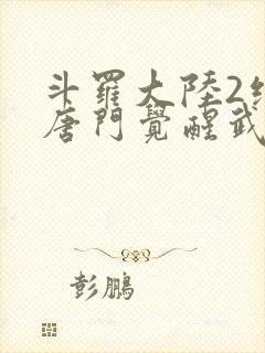 斗罗大陆2绝世唐门觉醒武魂