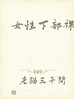 女性下部裸体照